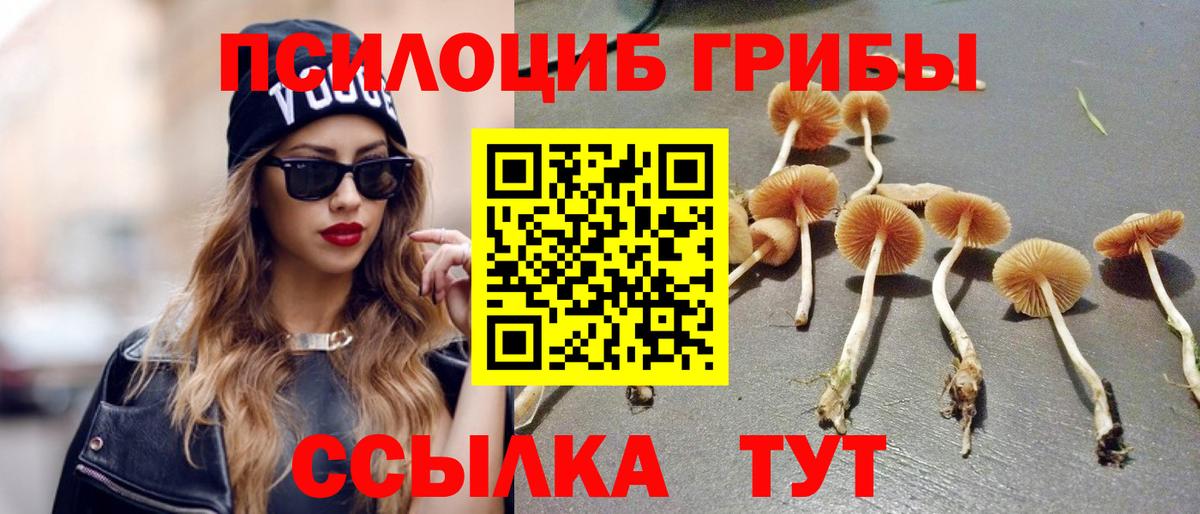Псилоцибиновые грибы Cubensis Кузнецк