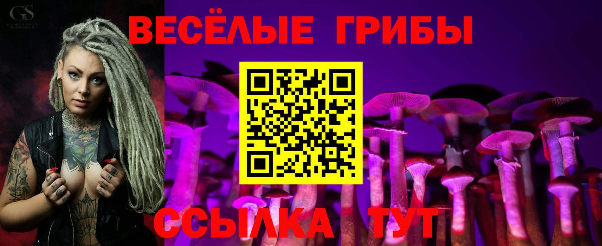 Кузнецк  Псилоцибиновые грибы прущие грибы  Вход с VPN 